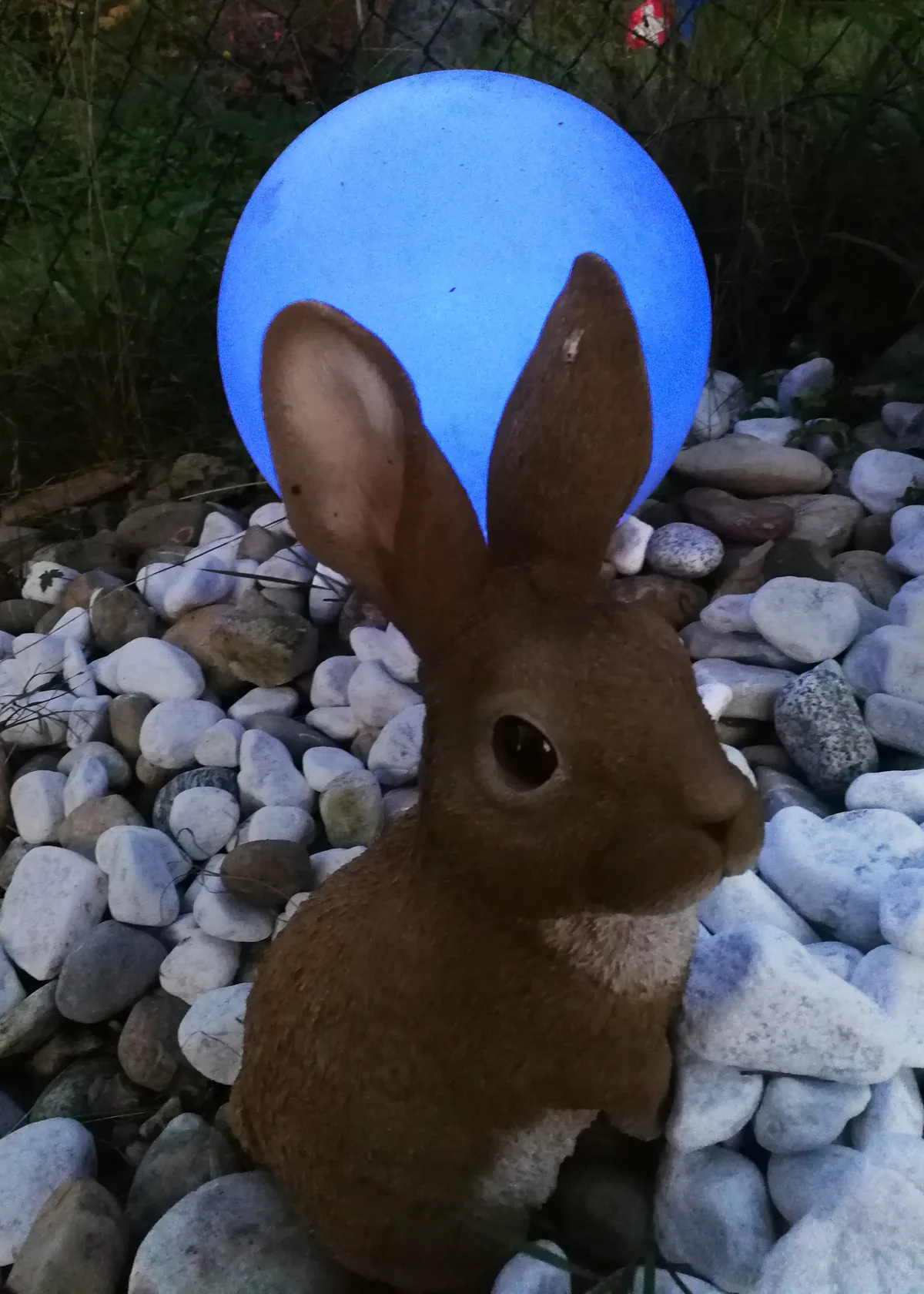 Nicht essbar hingegen war dieser Hase in einem Garten in Wildberg. Dekohase in einem Vorgarten.